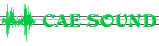 CAE Sound